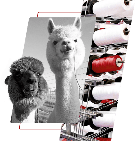 Benang poliester yang diwarnai